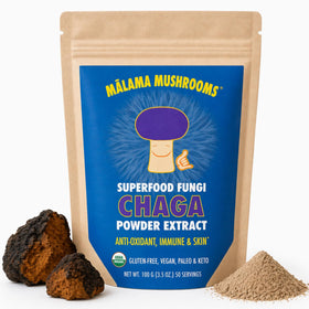 MALAMA MUSHROOMS Poudre d'Extrait de Champignon Chaga 110g vue avant