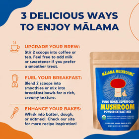 MALAMA MUSHROOMS Poudre de 8 Champignons Bio 141g sur une table en bois