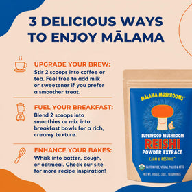MALAMA MUSHROOMS Poudre de Reishi avec un sachet de thé