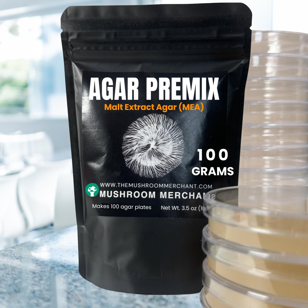 Malt Extract Agar en préparation sur une plaque de culture