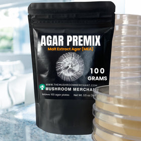 Malt Extract Agar en préparation sur une plaque de culture