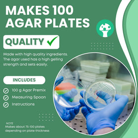 Malt Extract Agar Premix à côté de plusieurs plaques d'agar
