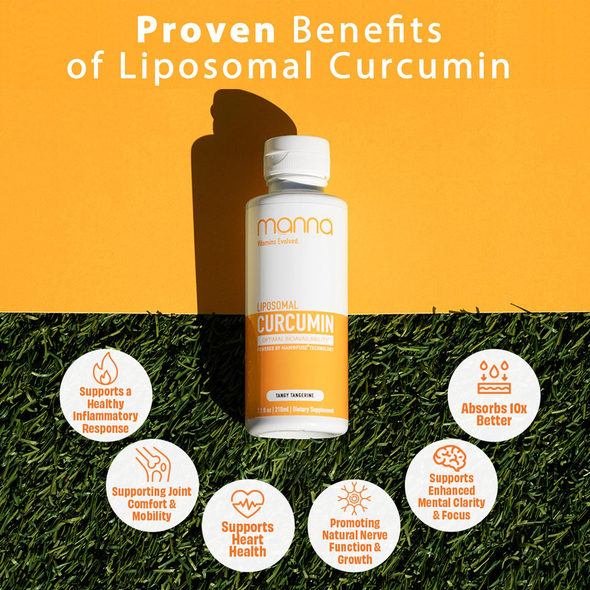 Manna Vitamins Evolved Curcuma Liposomal 250mg présentation avec fruits