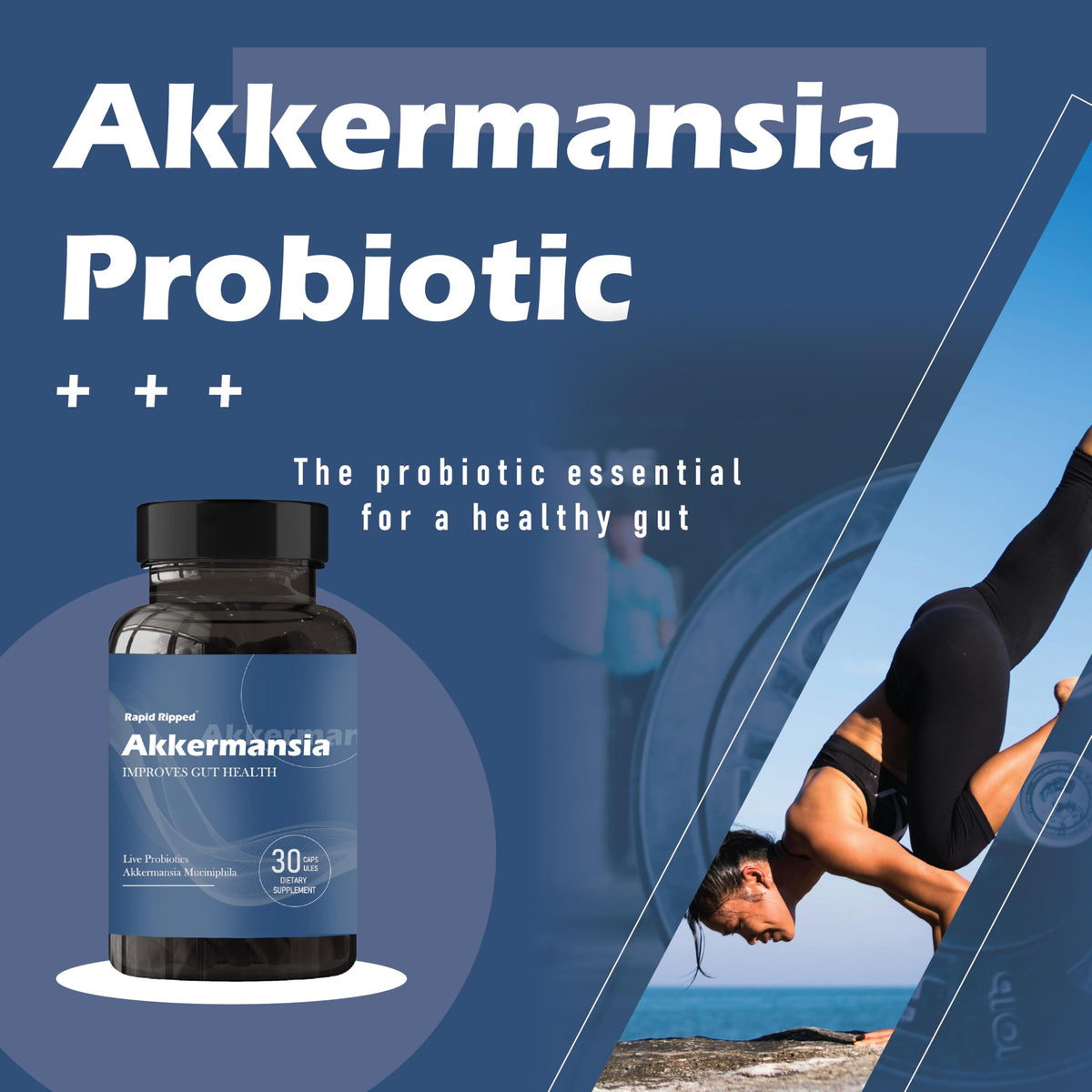 MAPUG Probiotique Akkermansia 100M AFU capsule vue arrière