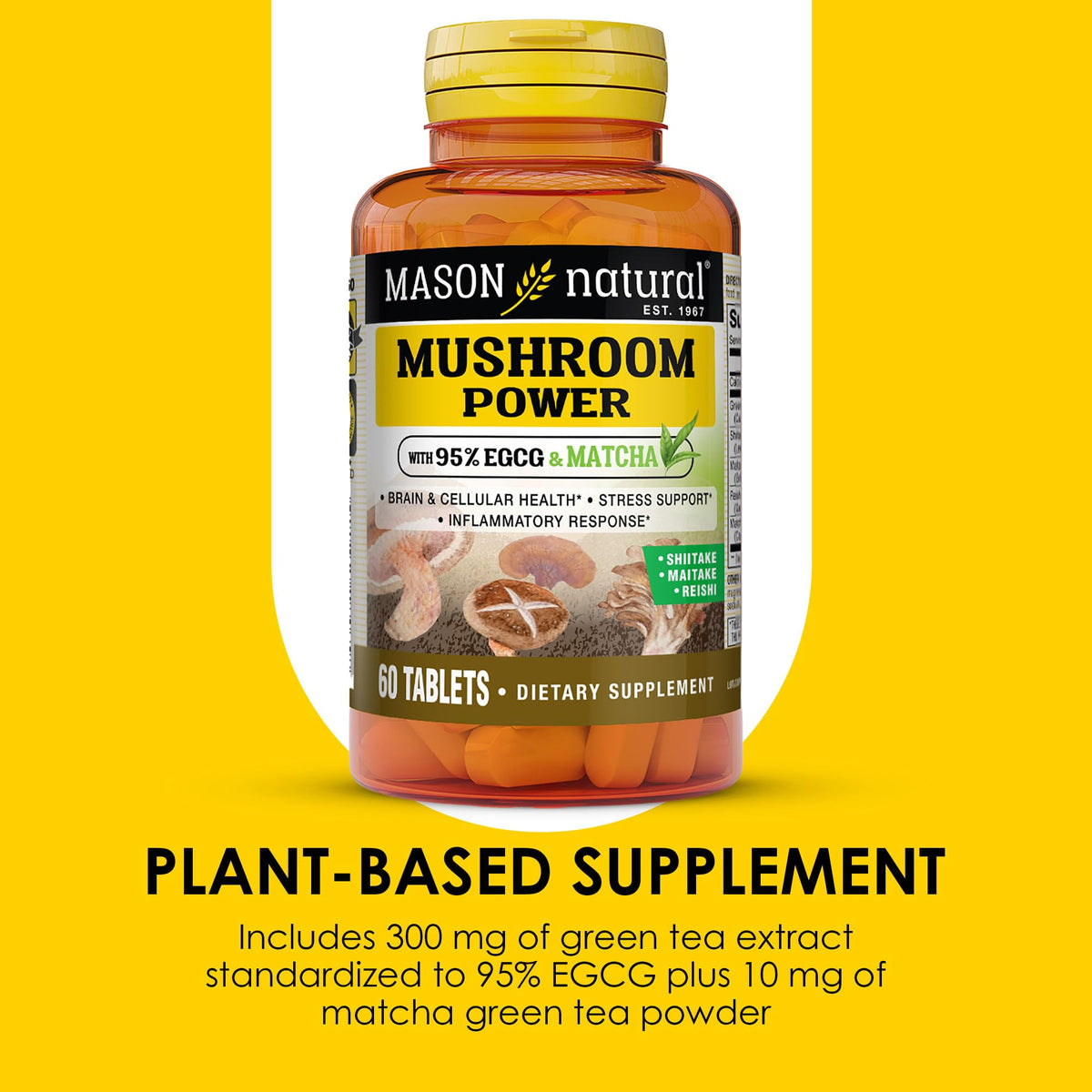 MASON NATURAL Champignons, illustration des ingrédients avec Shiitake, Maitake et Reishi