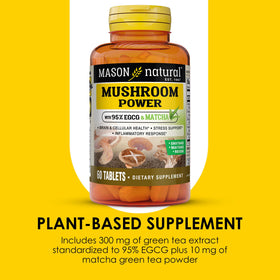 MASON NATURAL Champignons, illustration des ingrédients avec Shiitake, Maitake et Reishi