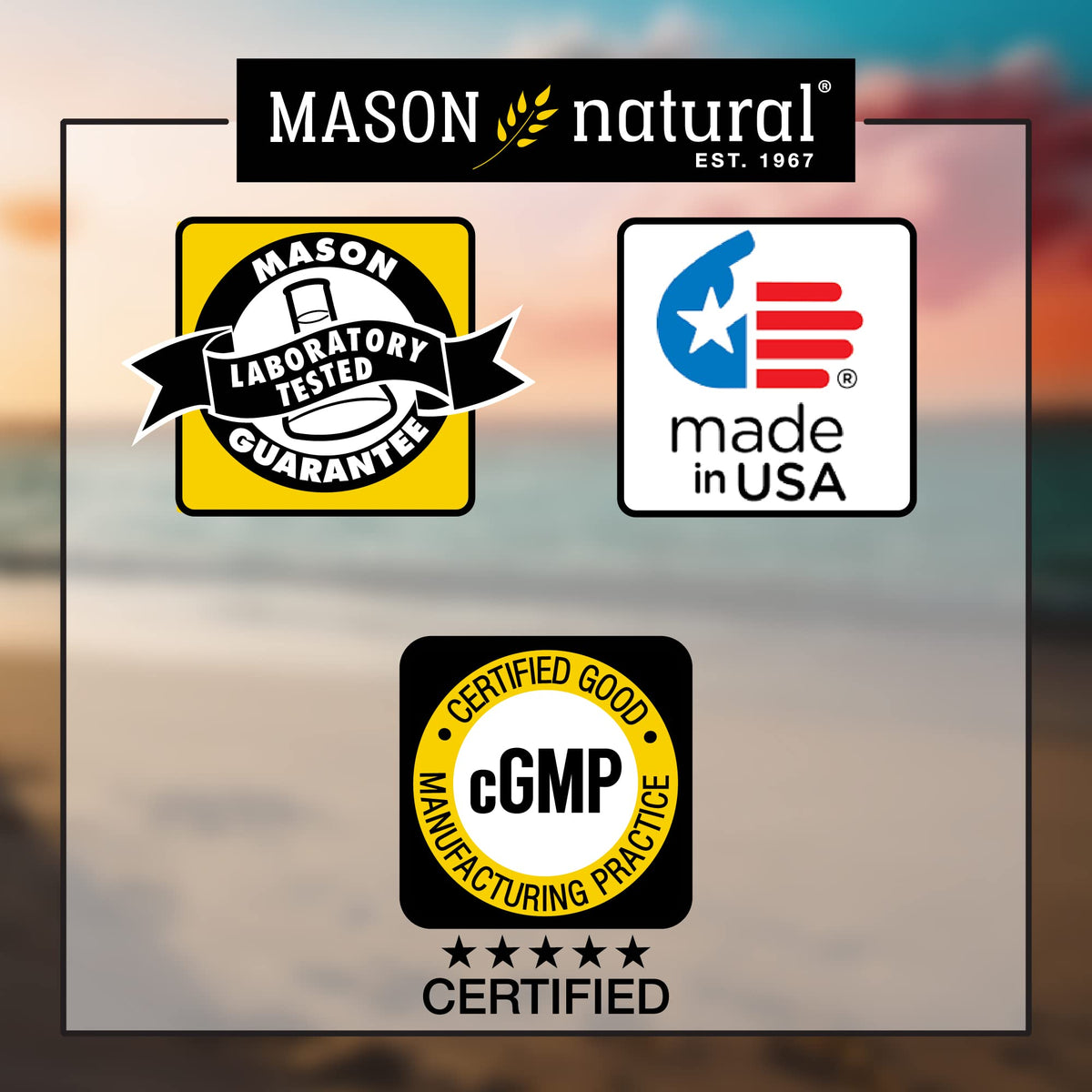 MASON NATURAL Complément Alimentaire à la Cannelle 500 mg ingrédients