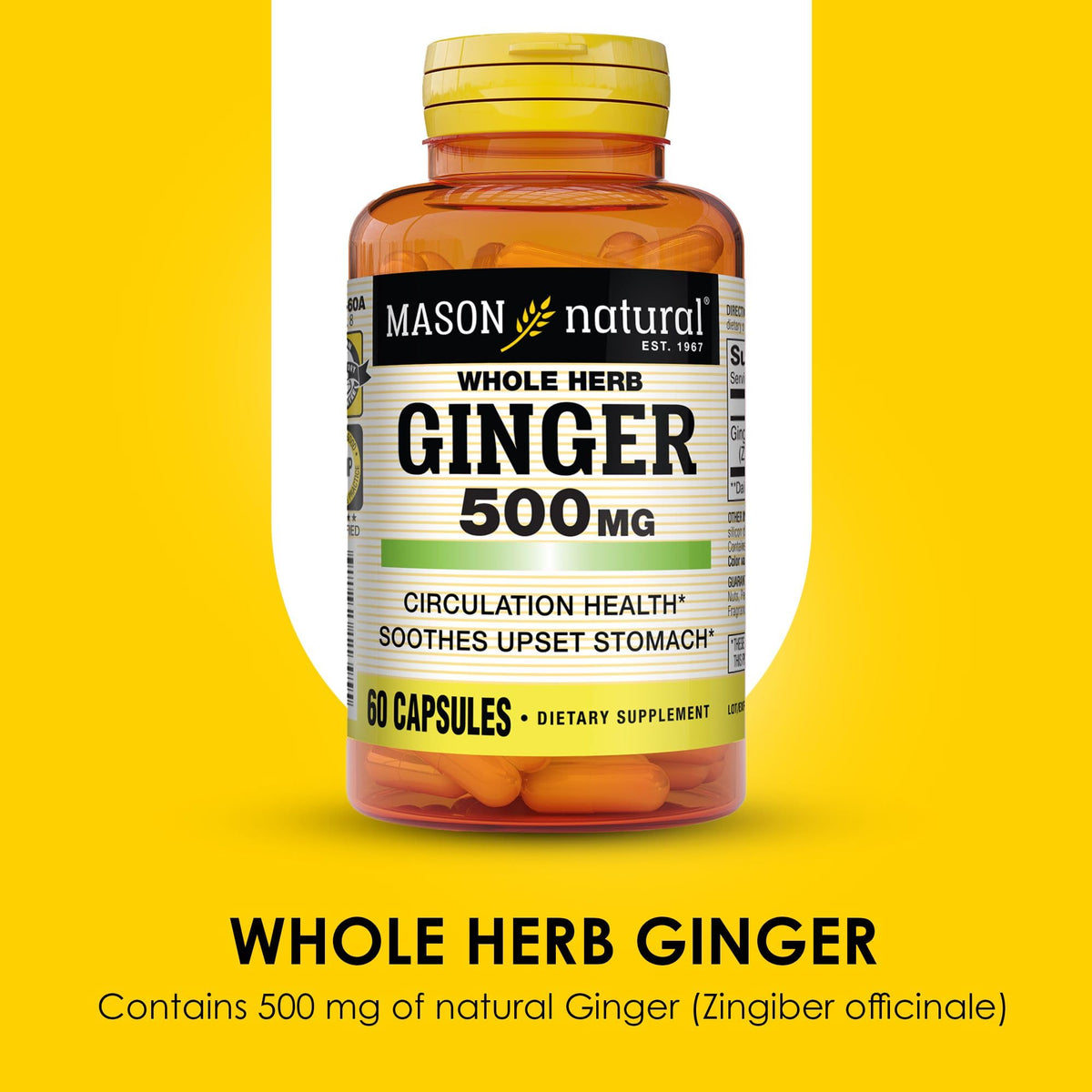 MASON NATURAL Complément Alimentaire Gingembre 500 mg, 60 Capsules - emballage