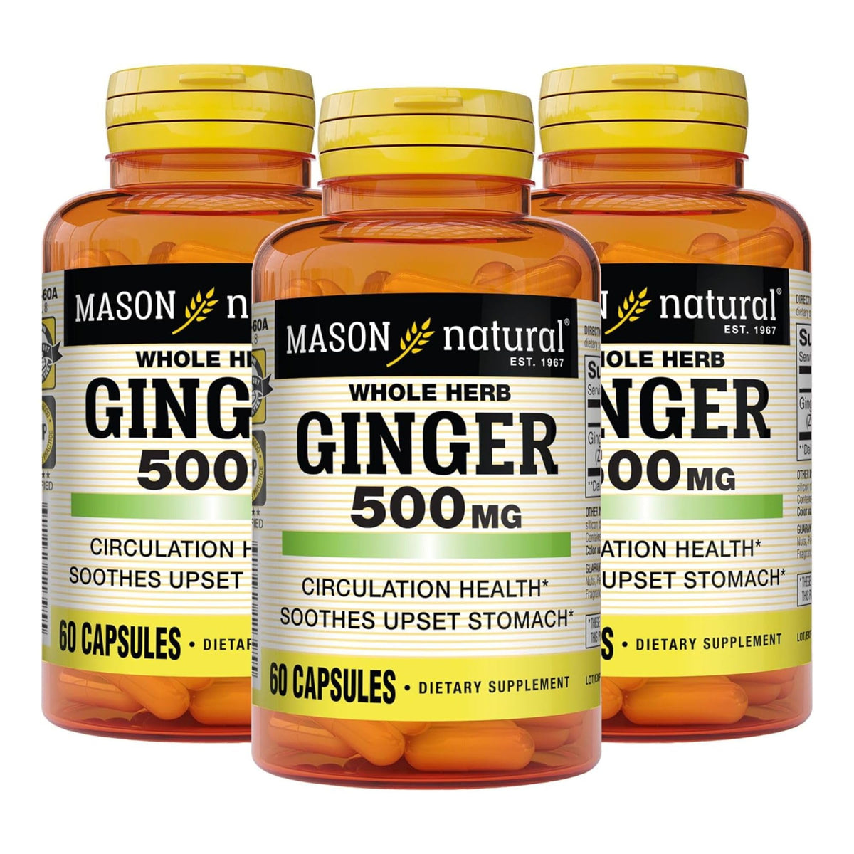 MASON NATURAL Complément Alimentaire Gingembre 500 mg, 60 Capsules - vue avant