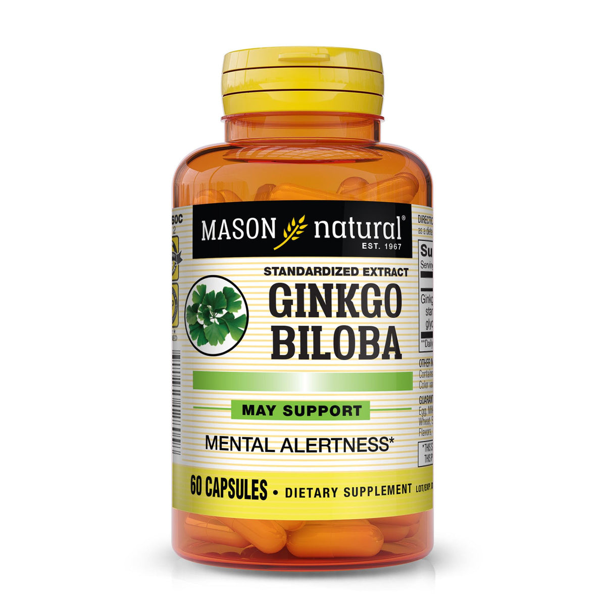 MASON NATURAL Ginkgo Biloba 60 capsules boîte avant vue