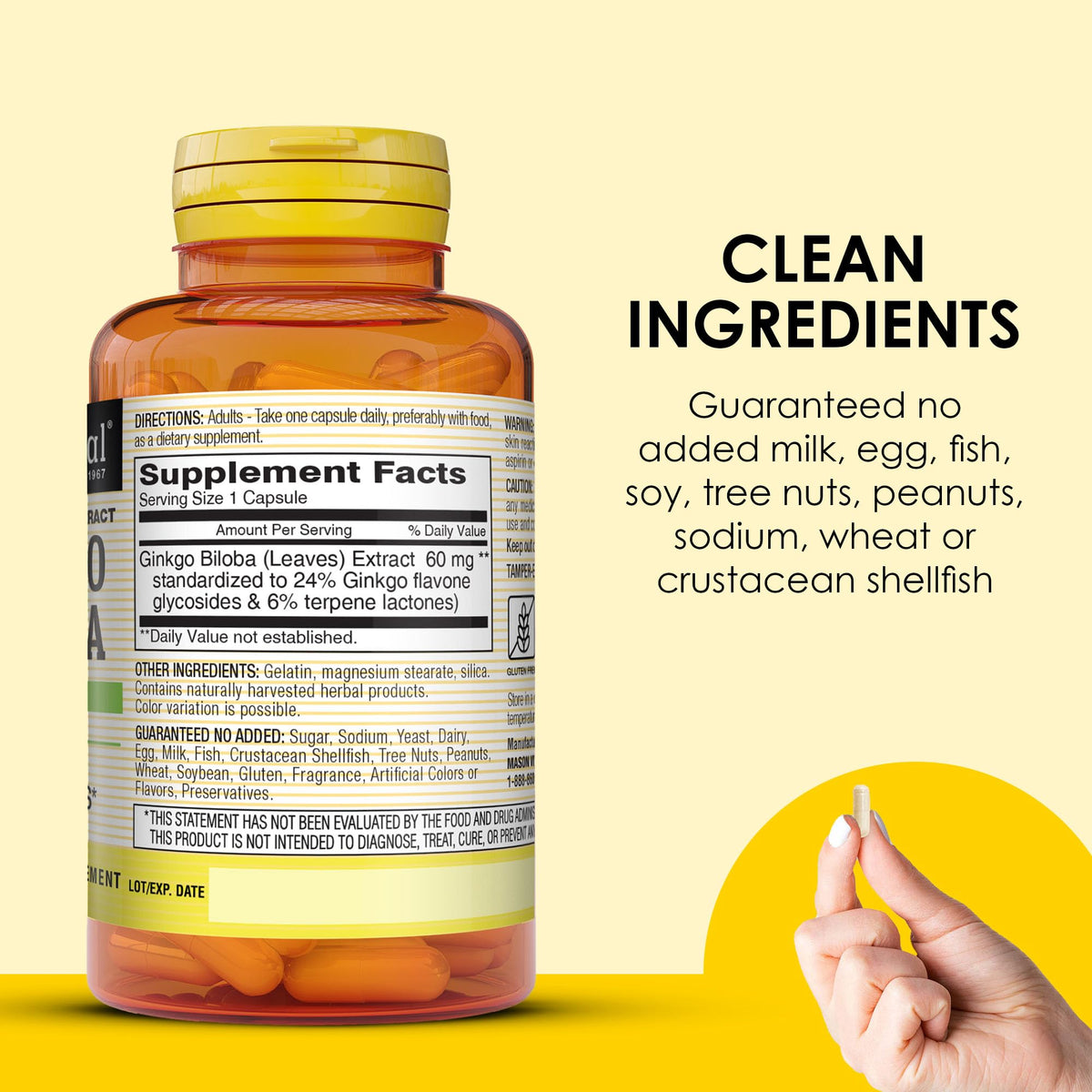 MASON NATURAL Ginkgo Biloba 60 capsules sur fond blanc