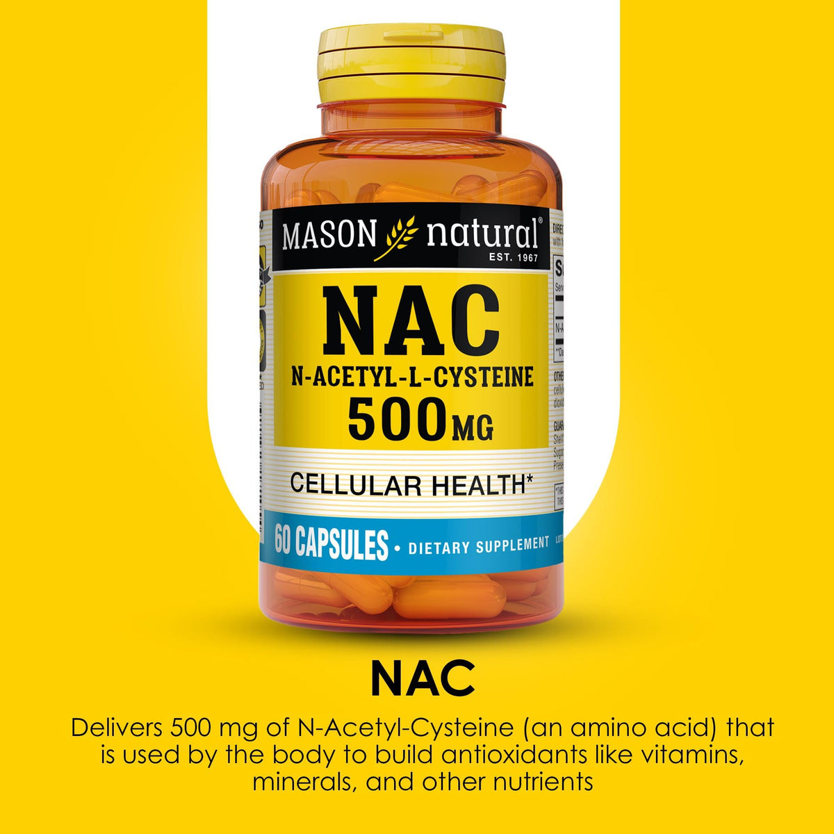 MASON NATURAL NAC N-Acétyl-L-Cystéine 500 mg capsules sur une table
