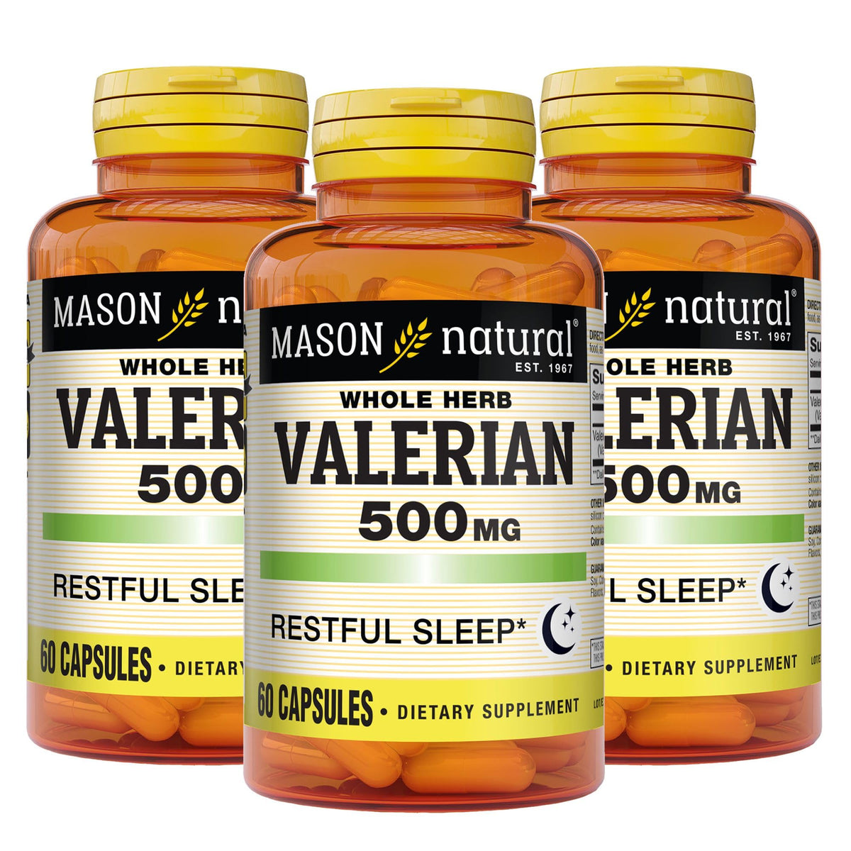 MASON NATURAL Racine de Valériane 500 mg emballage avant