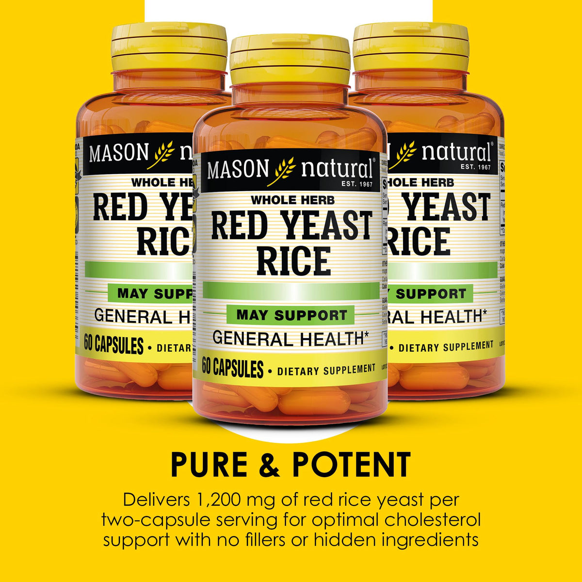 MASON NATURAL Riz Rouge 60 capsules avec ingrédients