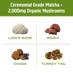 Matcha Latte Blend OM MUSHROOM SUPERFOOD avec lait d'avoine