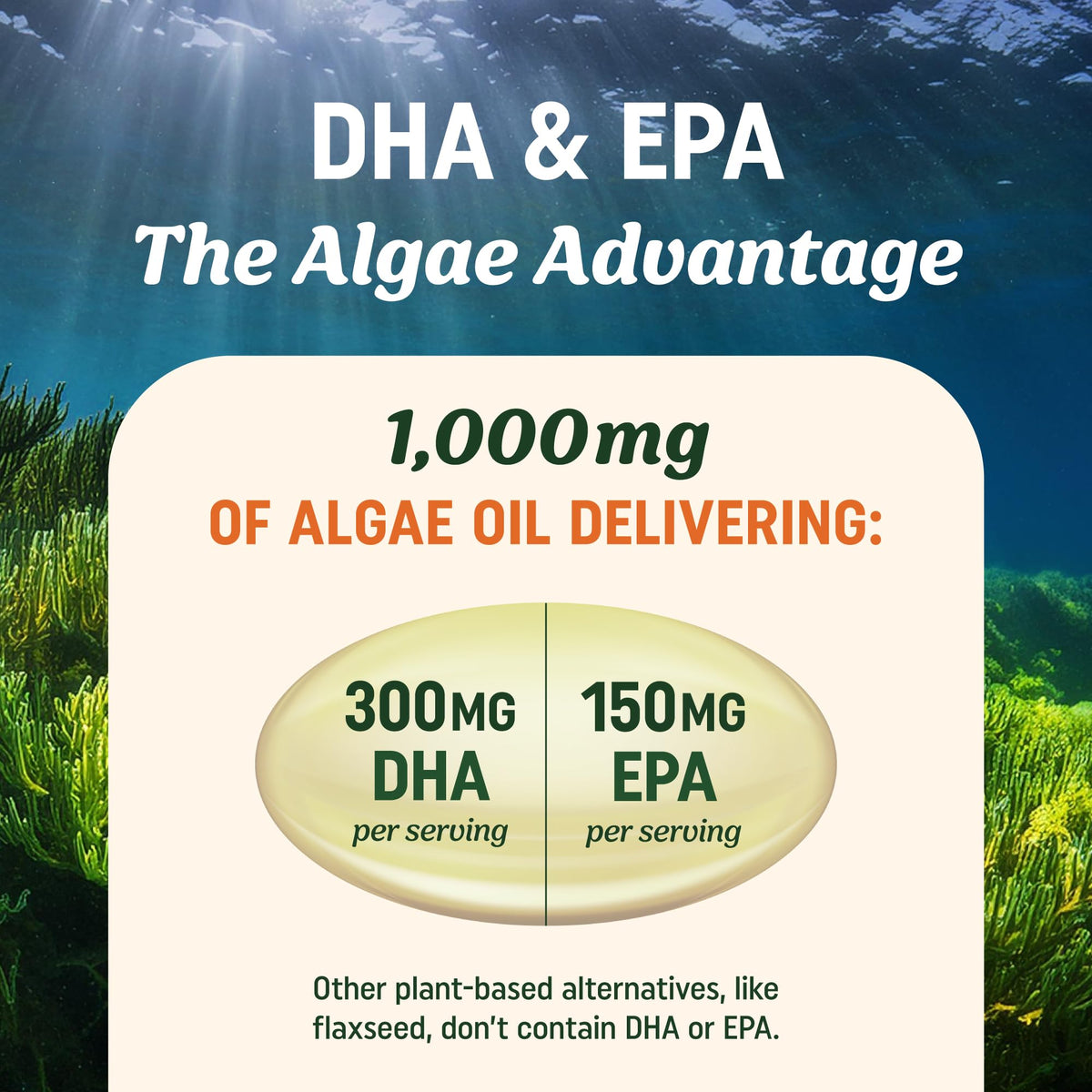 MAV NUTRITION Huile d'Algue Végétale Omega 3 vue arrière