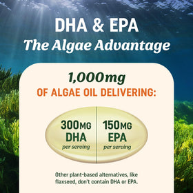 MAV NUTRITION Huile d'Algue Végétale Omega 3 vue arrière