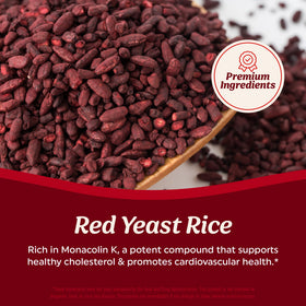 MAV NUTRITION Riz Rouge 1200mg - composition sur le dos de l'emballage