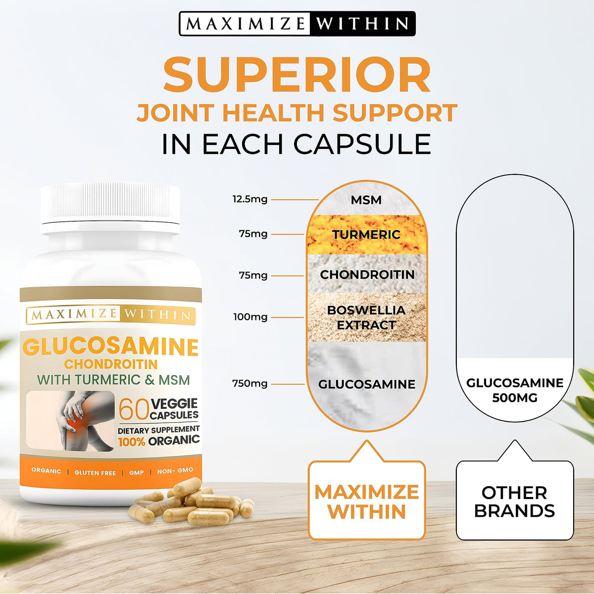 Maximize Within Glucosamine Chondroitin capsules, présentation des capsules