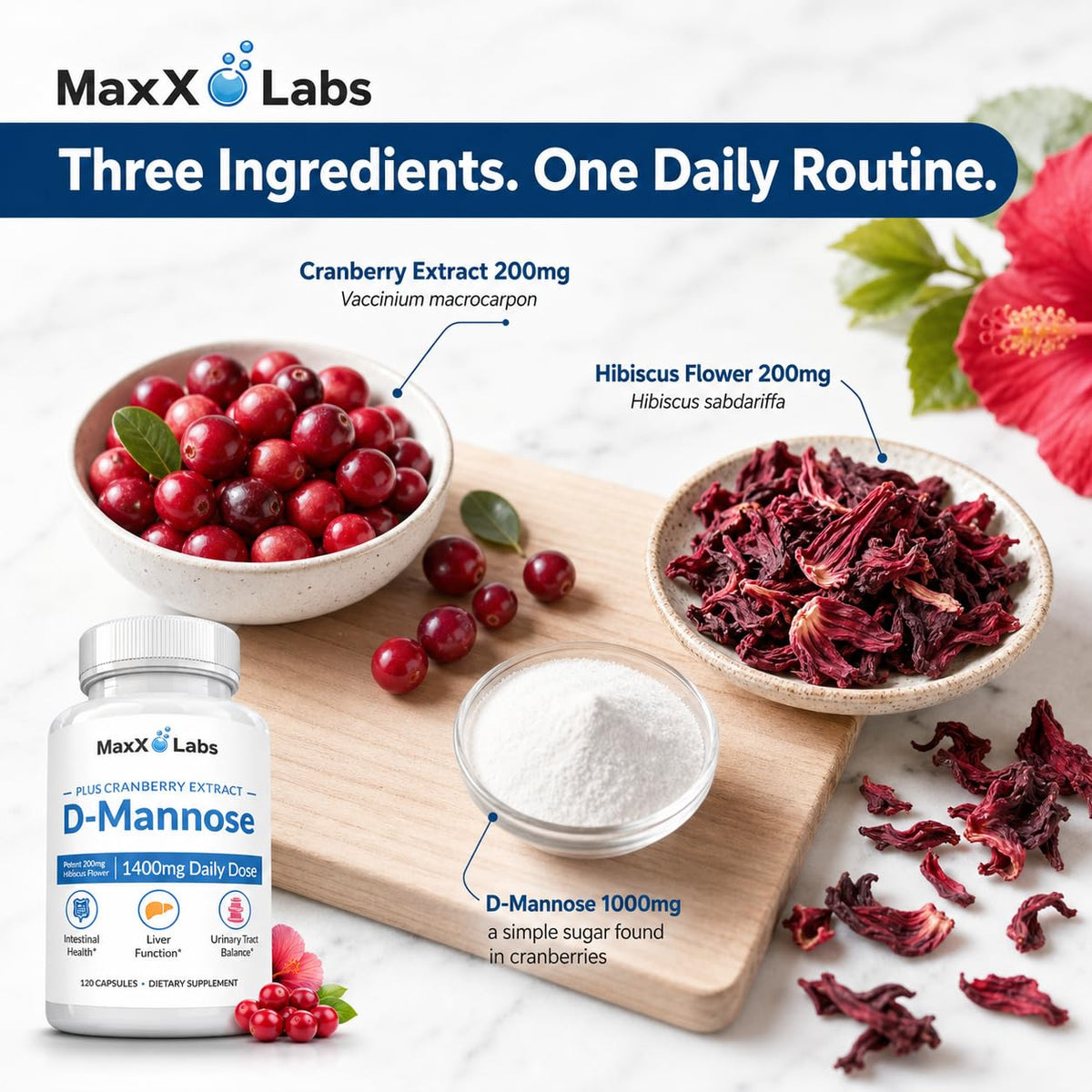 MaxX Labs D-Mannose Capsules 1400 Mg close-up of cranberry and hibiscus