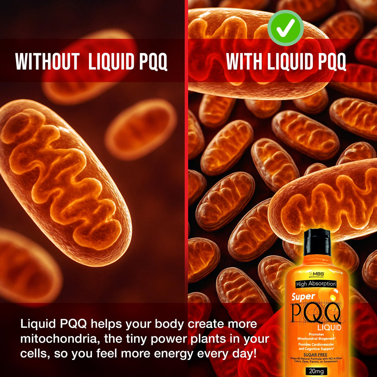 MBS Biotechnology Super PQQ Liquide 20 mg sur une table en bois