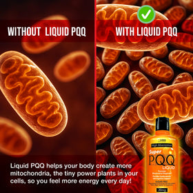 MBS Biotechnology Super PQQ Liquide 20 mg sur une table en bois