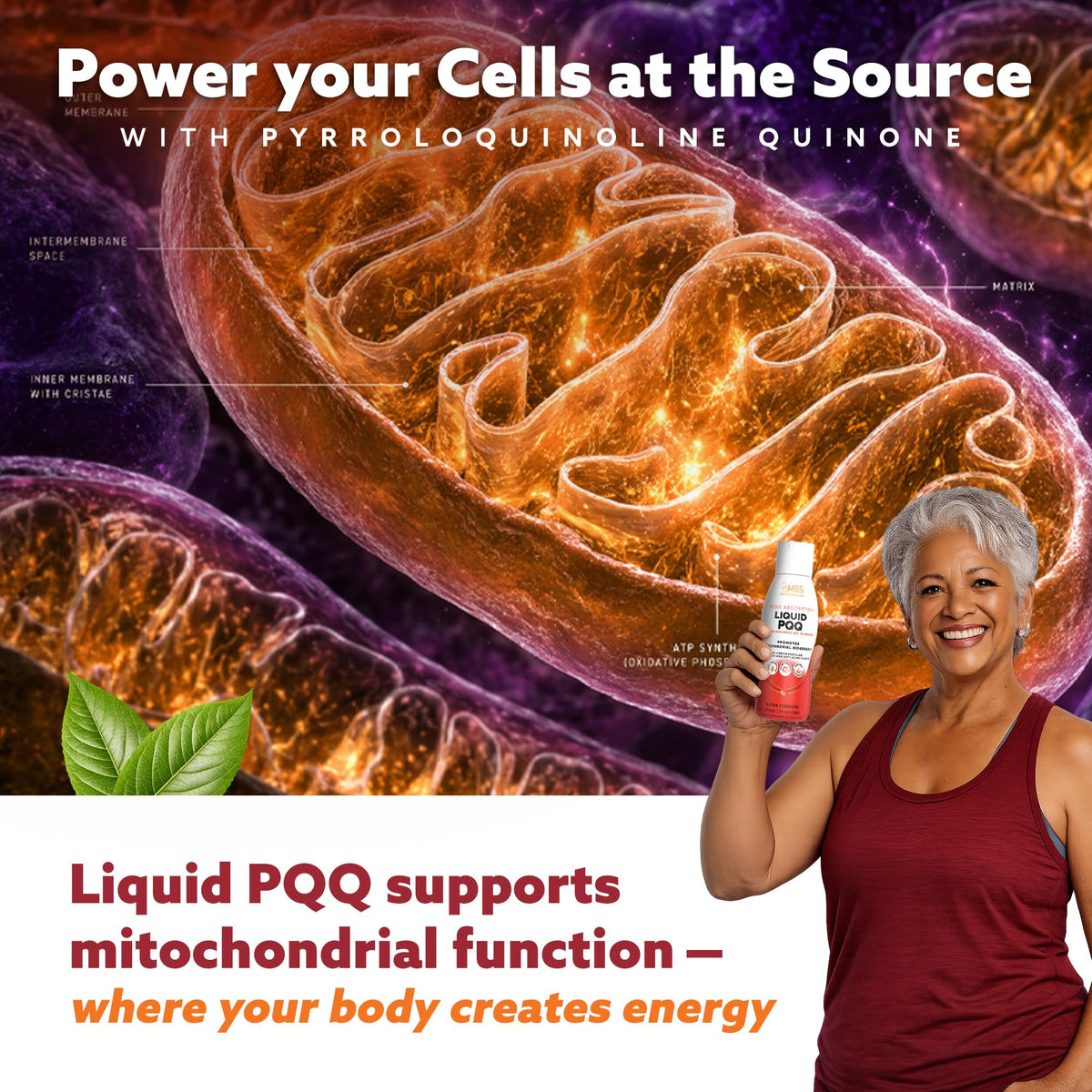 MBS Biotechnology Super PQQ Liquide 80mg 500ml étiquette avec ingrédients