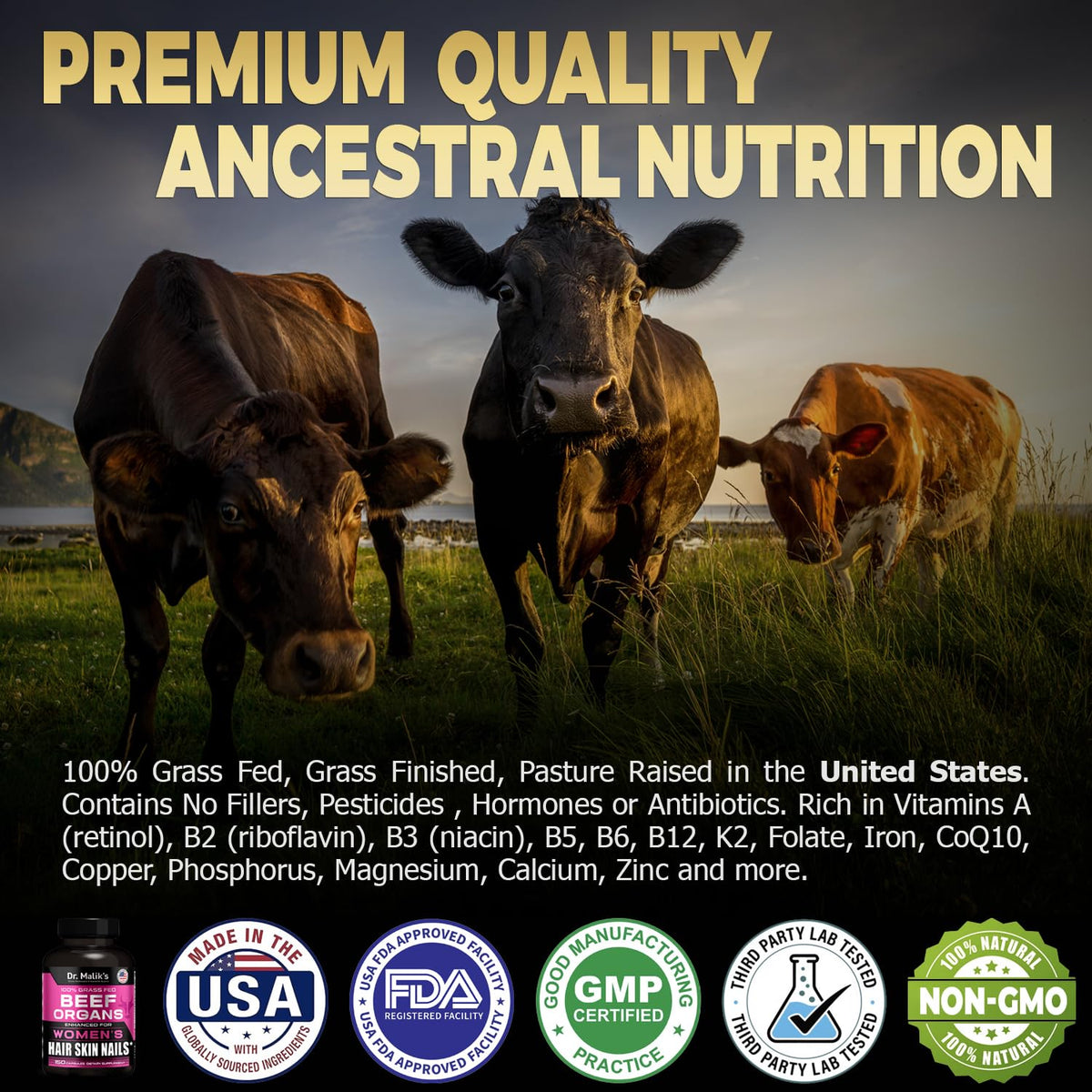 MD Supplements Complément Alimentaire aux Organes de Bœuf 150 Caps en vue de près