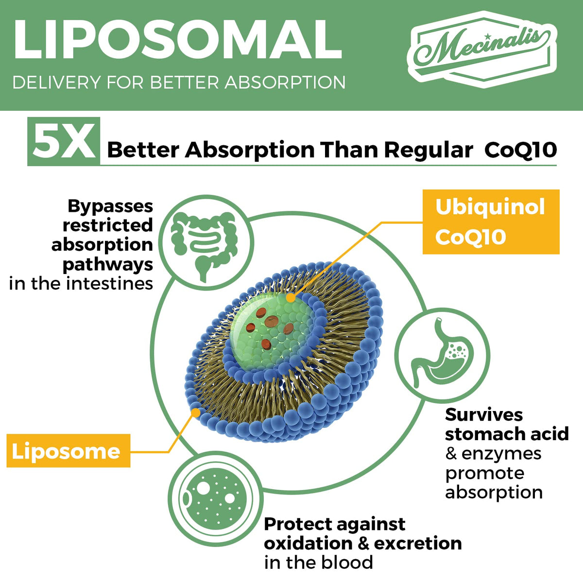 Mecinalis CoQ10 Ubiquinol 1000mg gélules en gros plan