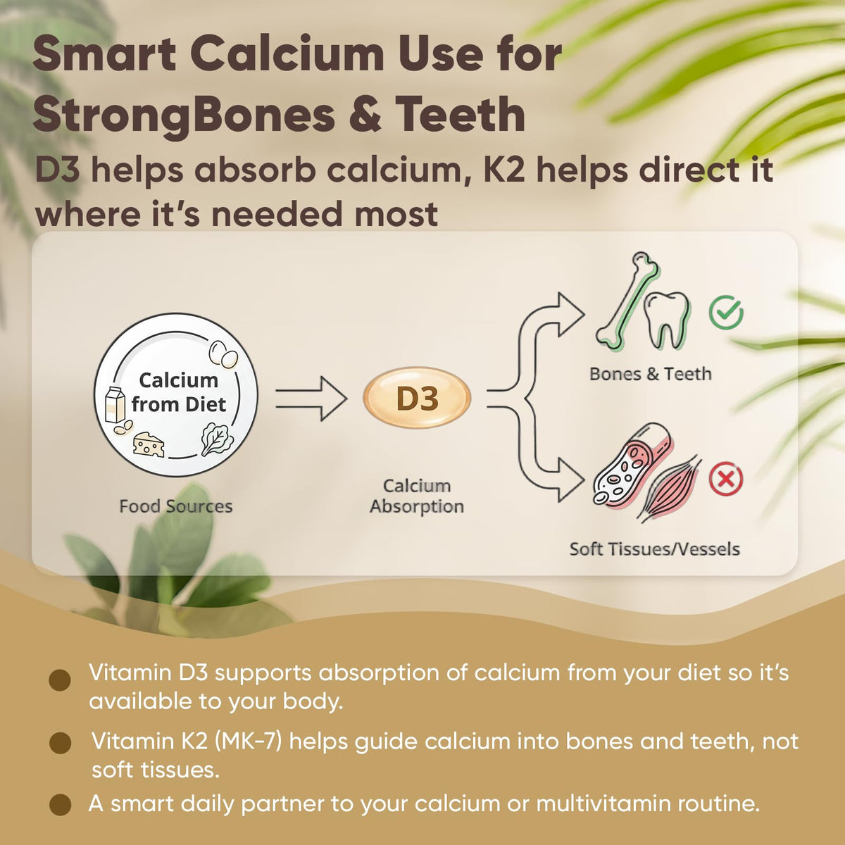 Megacephalus Vitamine D3 K2 gélules sur un fond neutre