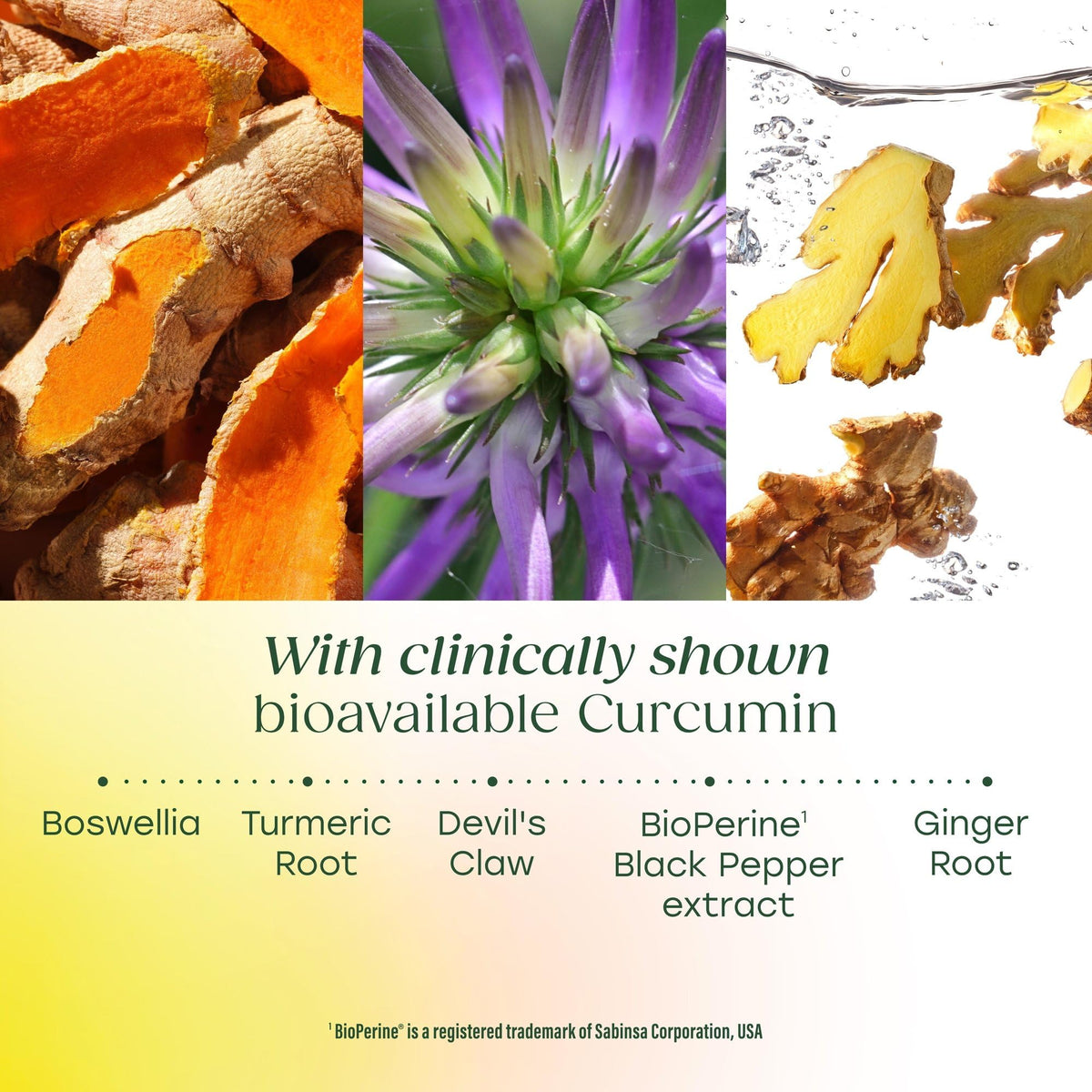 MegaFood Complément Alimentaire Curcuma 300 mg Curcuminoïdes - prise de comprimés