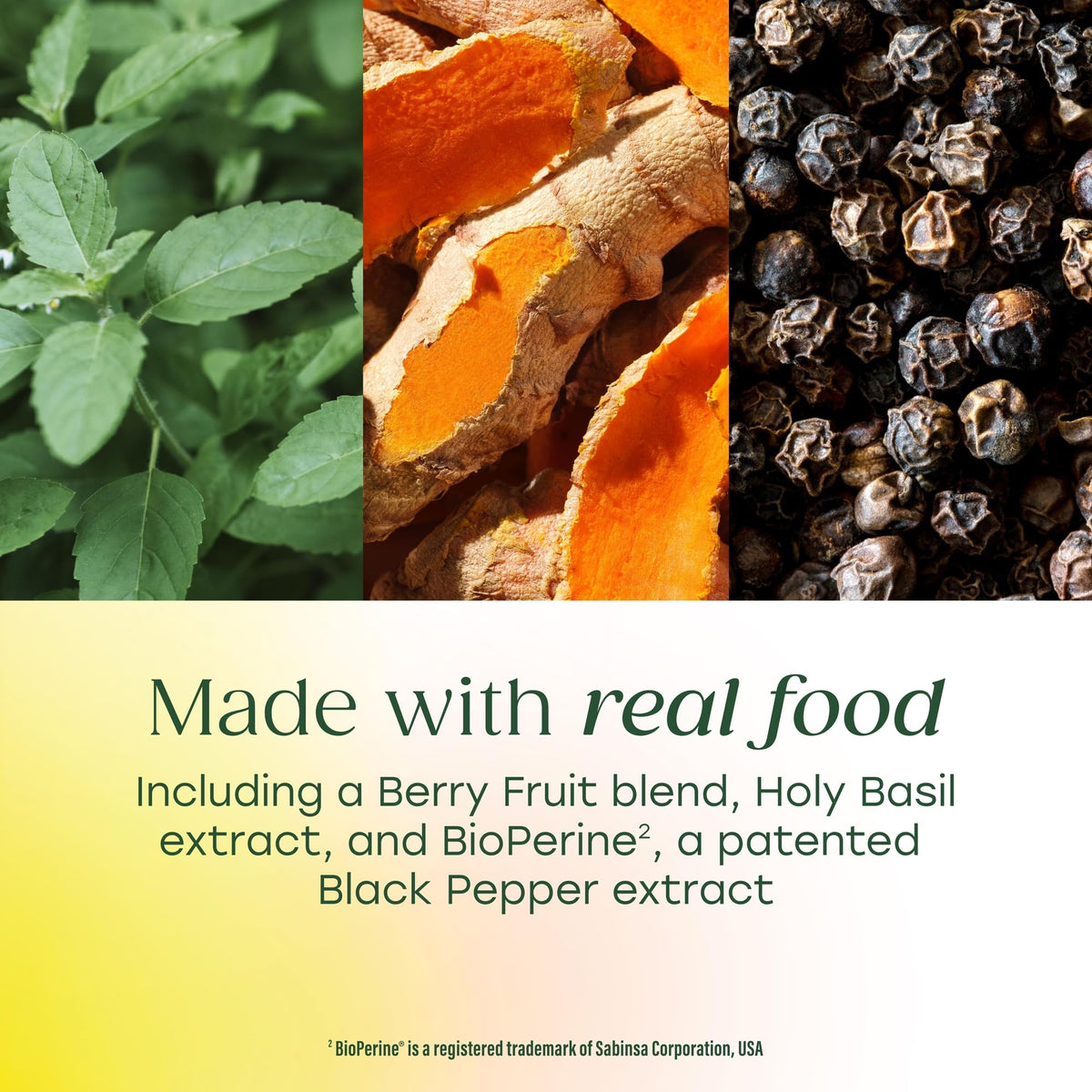 MegaFood Complément Curcuma Extra Fort 500 mg comprimés dans une main