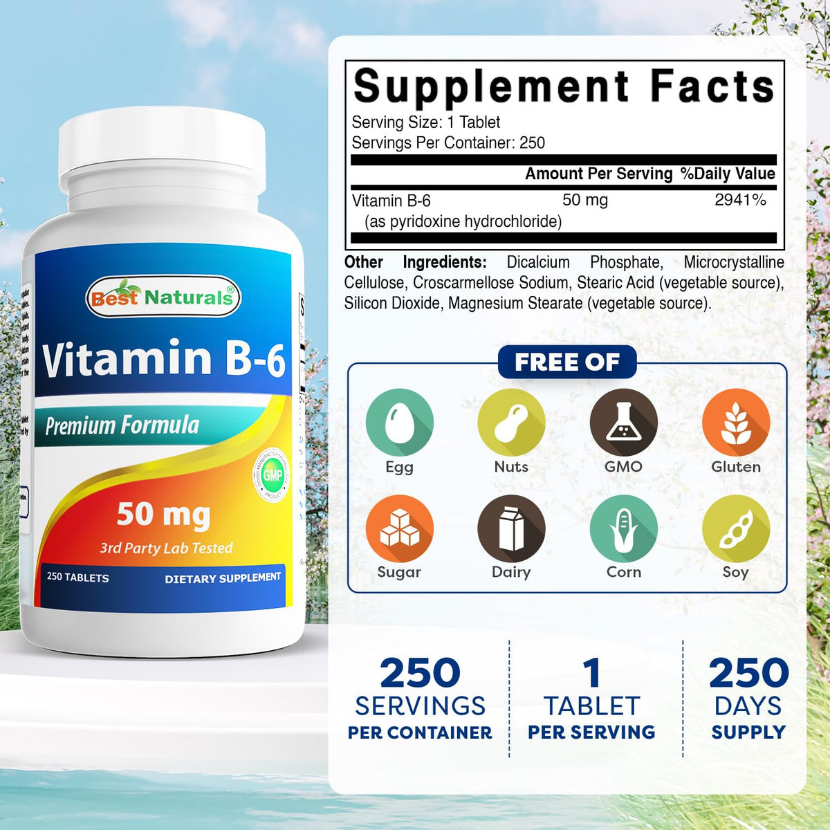 Meilleure vue du flacon de Best Naturals B6 50 mg