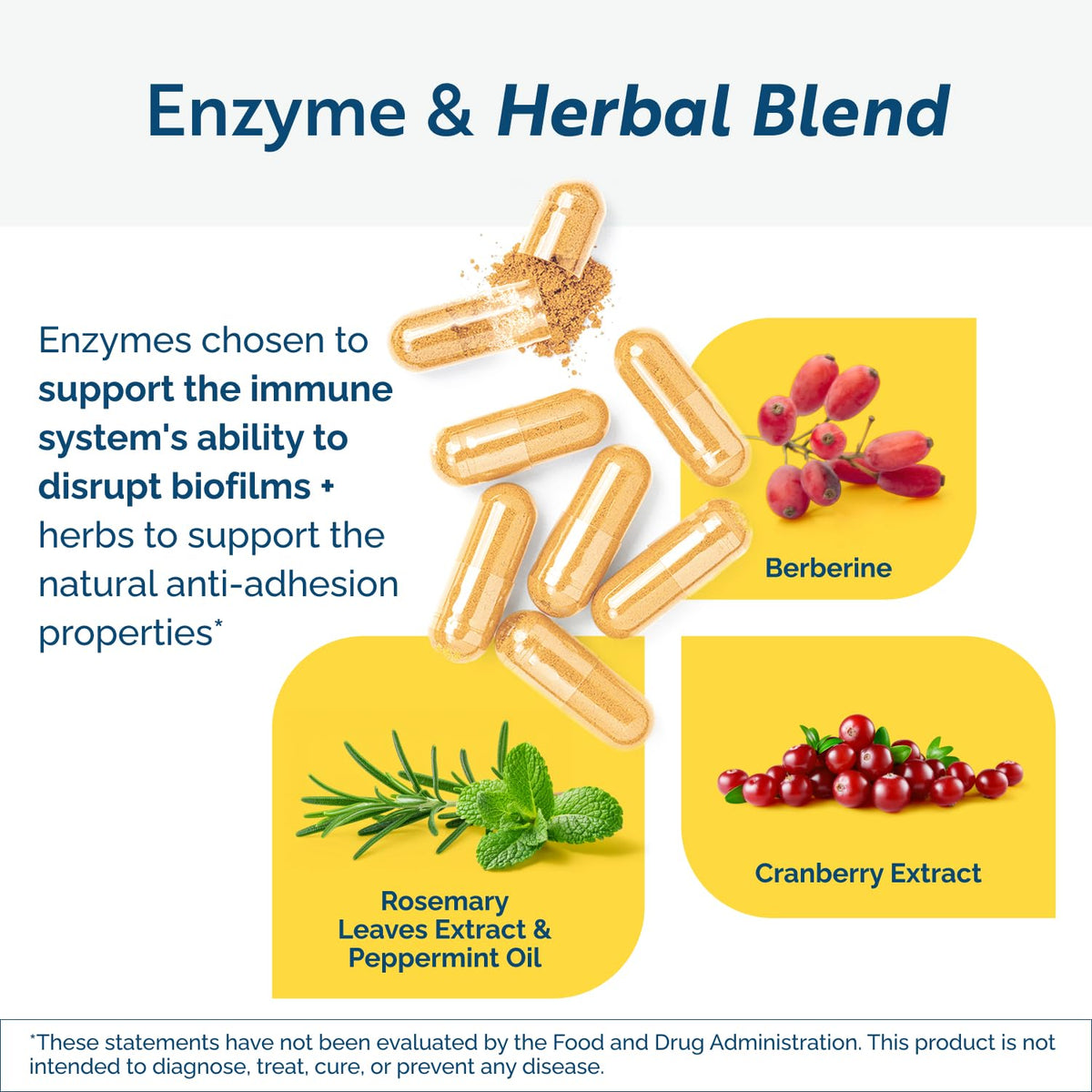 Mélange d'enzymes inclus dans BioDisrupt
