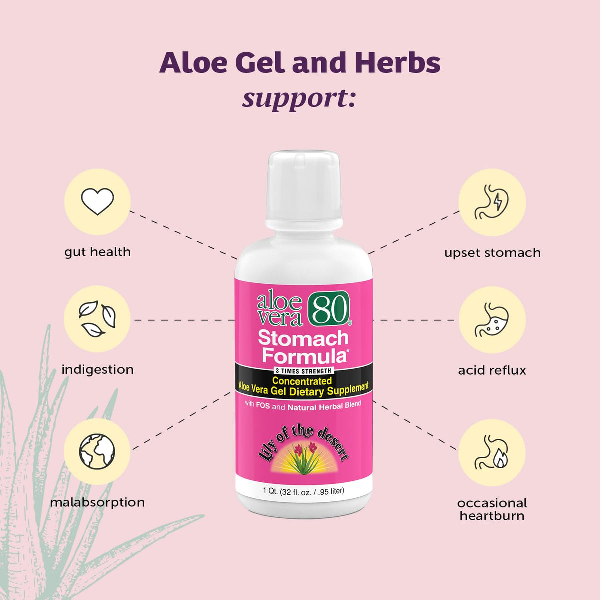 Mélange d'herbes dans la formule Aloe Vera 80