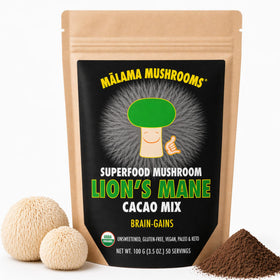 Mélange de cacao Lion's Mane de MALAMA MUSHROOMS en sachet avant