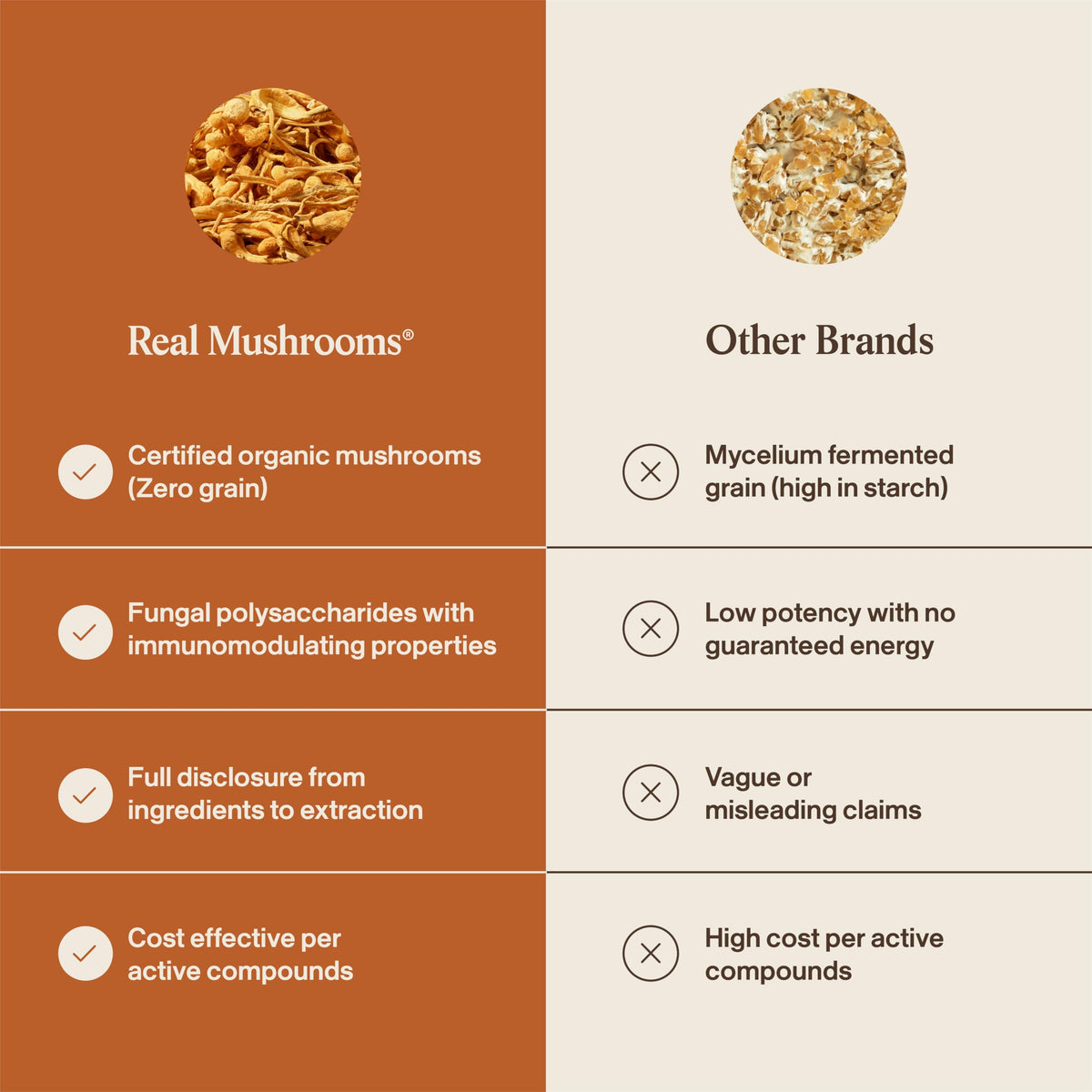 Mélange de capsules de Cordyceps avec des aliments