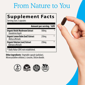 Mélange de champignon Reishi et mélisse en capsules
