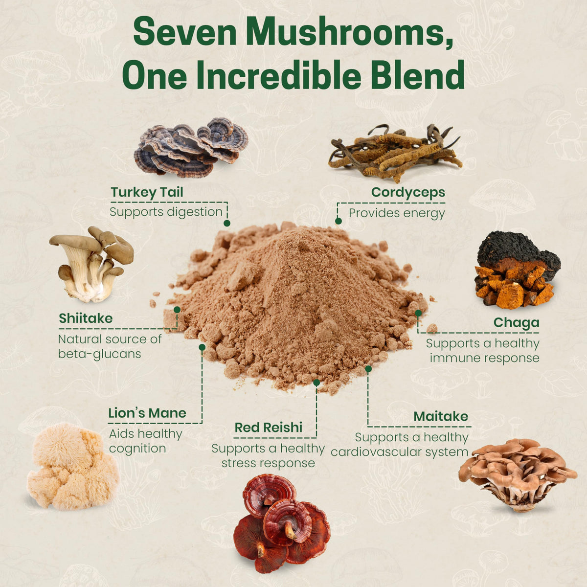 Mélange de champignons bio Z Natural Foods avec des ingrédients naturels