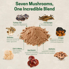 Mélange de champignons bio Z Natural Foods avec des ingrédients naturels