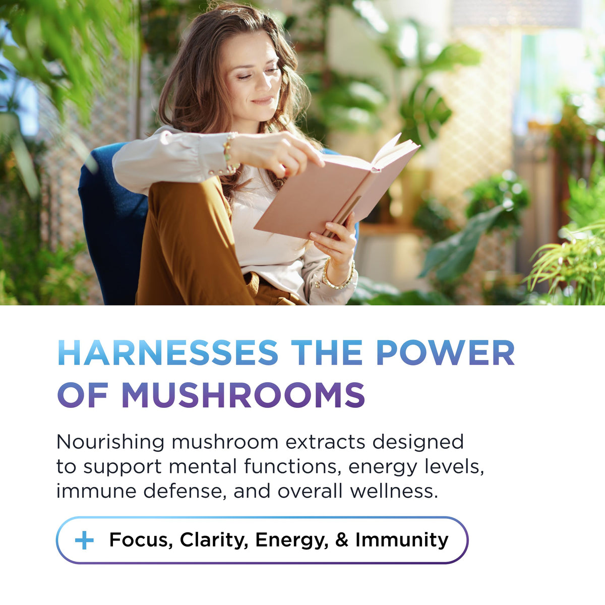 Mélange de champignons dans la formule DR. EMIL NUTRITION