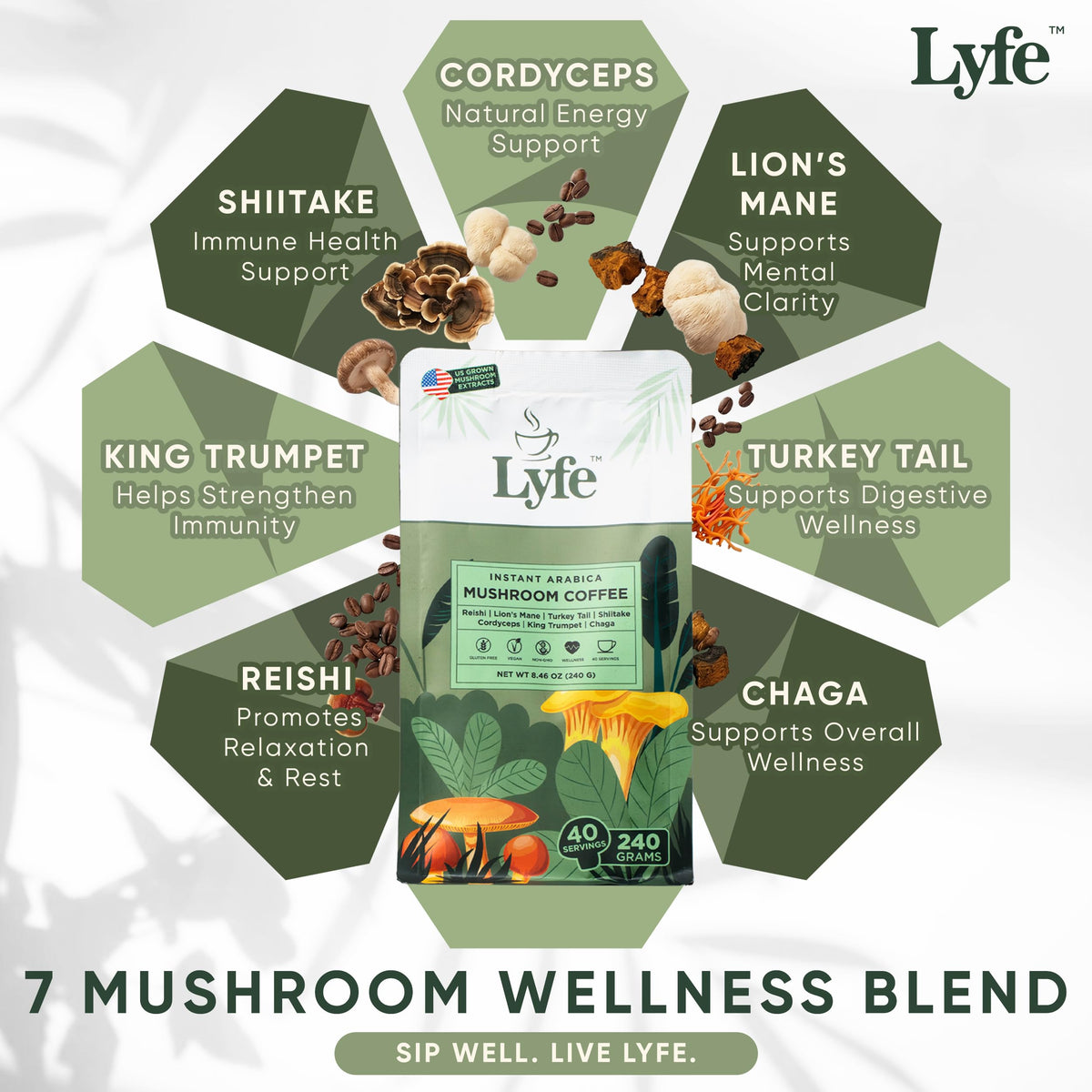 Mélange de champignons fonctionnels dans le café LYFE
