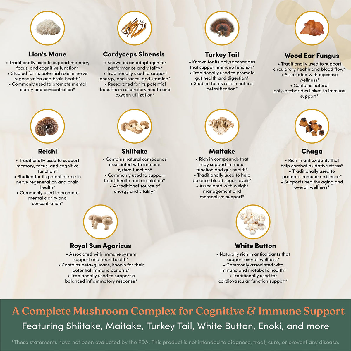 Mélange de Champignons nootrimind sur fond neutre
