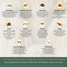 Mélange de Champignons nootrimind sur fond neutre