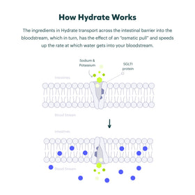 Mélange de Cheers Hydrate dans un verre d'eau froide