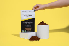 Mélange de cinq champignons Terrasoul Superfoods dans un bol avec des ingrédients frais