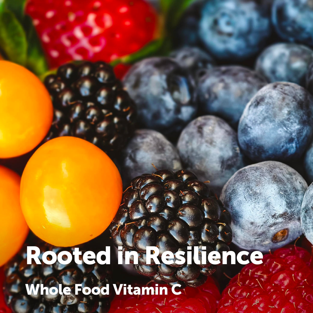 Mélange de fruits et baies du Complexe de Vitamine C de Micro Ingredients
