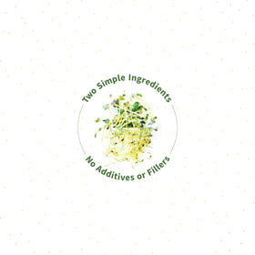 Mélange de Germes Sprout Living dans un shaker avec smoothie