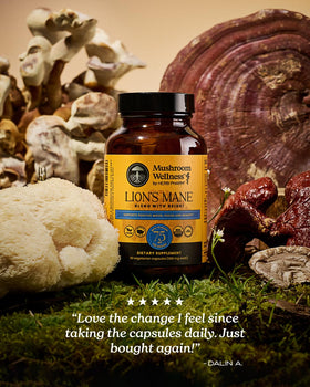 Mélange de Lion’s Mane avec Reishi Herb Pharm sur une table