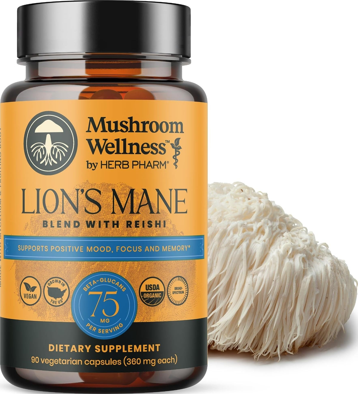 Mélange de Lion’s Mane avec Reishi Herb Pharm, vue de face
